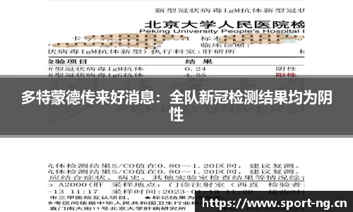 ng体育官网
